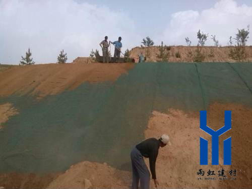 三維植被網(wǎng)http://m.yiyizs.com.cn/